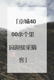 京城4000余个果园迎接采摘客