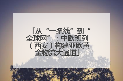 从“一条线”到“全球网”：中欧班列（西安）构建亚欧黄金物流大通道