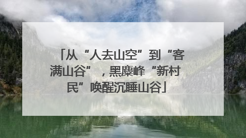 从“人去山空”到“客满山谷”，黑麋峰“新村民”唤醒沉睡山谷