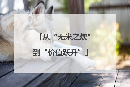 从“无米之炊”到“价值跃升”