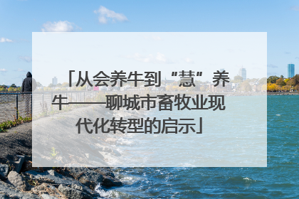从会养牛到“慧”养牛——聊城市畜牧业现代化转型的启示