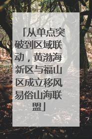 从单点突破到区域联动，黄渤海新区与福山区成立移风易俗山海联盟