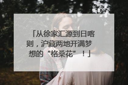 从徐家汇源到日喀则，沪藏两地开满梦想的“格桑花”！
