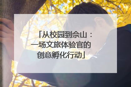 从校园到佘山：一场文旅体验官的创意孵化行动