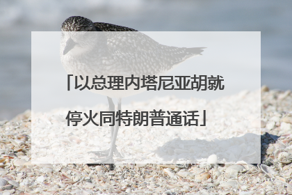以总理内塔尼亚胡就停火同特朗普通话