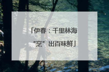 伊春：千里林海“烹”出百味鲜