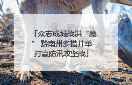众志成城战洪“魔” 黔南州多措并举打赢防汛攻坚战