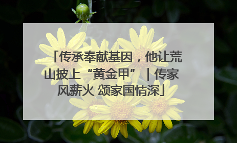 传承奉献基因，他让荒山披上“黄金甲”｜传家风薪火 颂家国情深