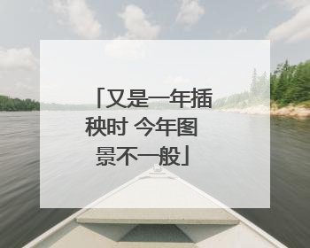 又是一年插秧时 今年图景不一般