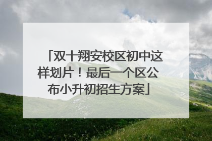 双十翔安校区初中这样划片！最后一个区公布小升初招生方案