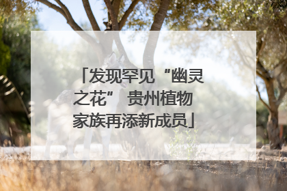 发现罕见“幽灵之花” 贵州植物家族再添新成员