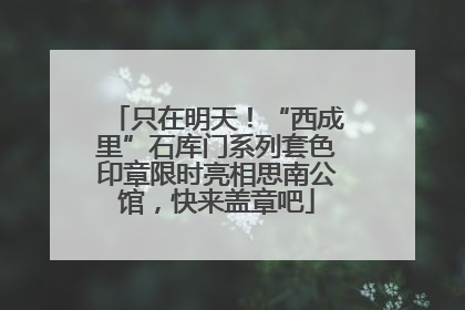 只在明天！“西成里”石库门系列套色印章限时亮相思南公馆，快来盖章吧