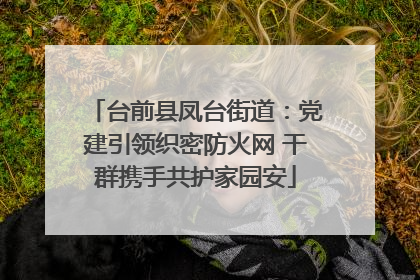 台前县凤台街道：党建引领织密防火网 干群携手共护家园安