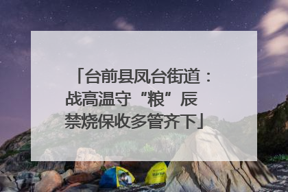 台前县凤台街道：战高温守“粮”辰 禁烧保收多管齐下