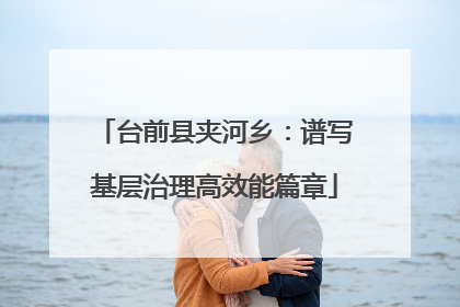 台前县夹河乡：谱写基层治理高效能篇章