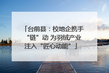 台前县：校地企携手“链”动 为羽绒产业注入“匠心动能”