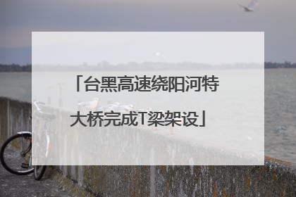 台黑高速绕阳河特大桥完成T梁架设