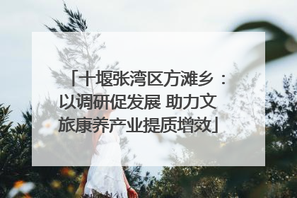 十堰张湾区方滩乡：以调研促发展 助力文旅康养产业提质增效