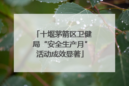 十堰茅箭区卫健局“安全生产月”活动成效显著