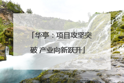 华亭：项目攻坚突破 产业向新跃升