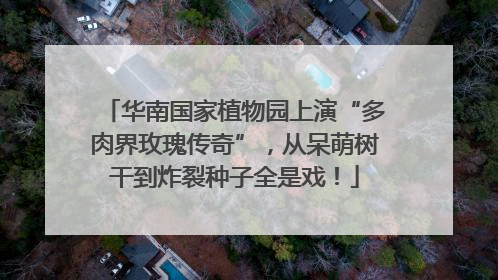 华南国家植物园上演“多肉界玫瑰传奇”，从呆萌树干到炸裂种子全是戏！