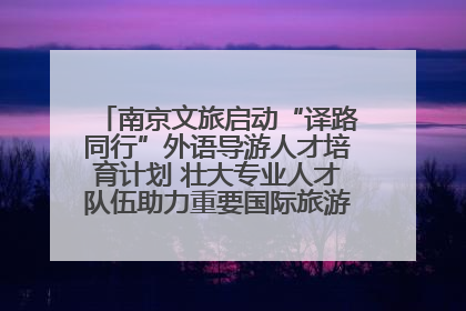 南京文旅启动“译路同行”外语导游人才培育计划 壮大专业人才队伍助力重要国际旅游目的地建设