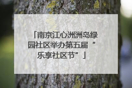 南京江心洲洲岛绿园社区举办第五届“乐享社区节”
