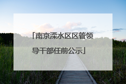 南京溧水区区管领导干部任前公示