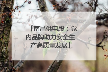 南昌供电段：党内品牌助力安全生产高质量发展