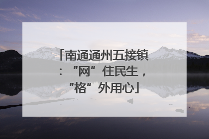 南通通州五接镇：“网”住民生，“格”外用心