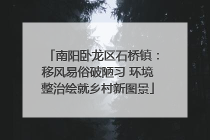 南阳卧龙区石桥镇：移风易俗破陋习 环境整治绘就乡村新图景