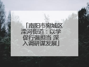 南阳市宛城区溧河街道：以学促行强担当 深入调研谋发展