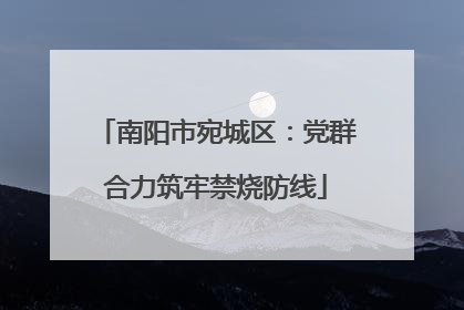 南阳市宛城区：党群合力筑牢禁烧防线