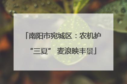 南阳市宛城区：农机护“三夏” 麦浪映丰景