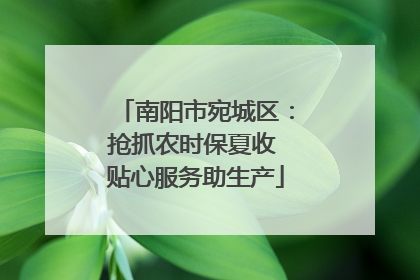 南阳市宛城区：抢抓农时保夏收 贴心服务助生产