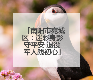 南阳市宛城区：迷彩身影守平安 退役军人践初心