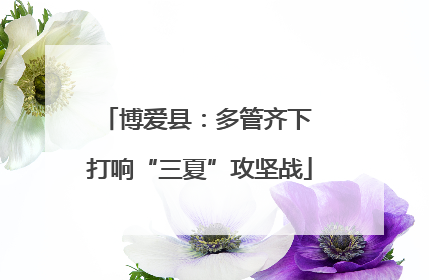 博爱县：多管齐下 打响“三夏”攻坚战