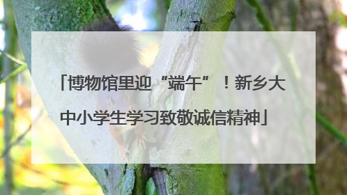 博物馆里迎“端午”!新乡大中小学生学习致敬诚信精神