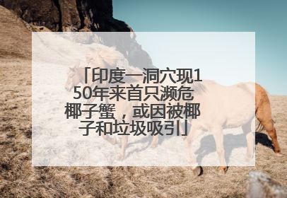 印度一洞穴现150年来首只濒危椰子蟹，或因被椰子和垃圾吸引