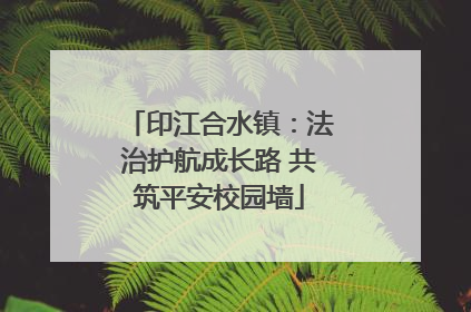 印江合水镇：法治护航成长路 共筑平安校园墙