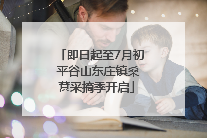 即日起至7月初 平谷山东庄镇桑葚采摘季开启