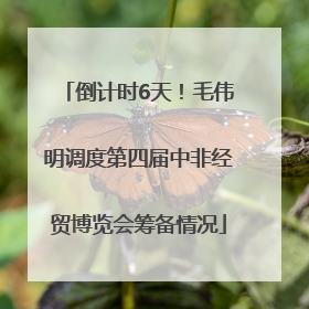 倒计时6天！毛伟明调度第四届中非经贸博览会筹备情况