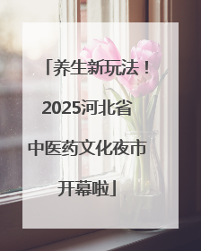 养生新玩法！2025河北省中医药文化夜市开幕啦