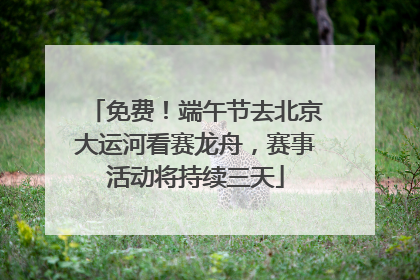 免费！端午节去北京大运河看赛龙舟，赛事活动将持续三天