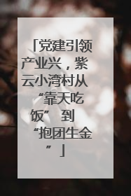 党建引领产业兴，紫云小湾村从 “靠天吃饭” 到 “抱团生金”