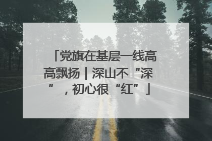 党旗在基层一线高高飘扬｜深山不“深”，初心很“红”