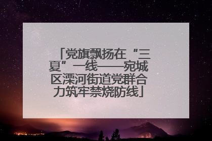 党旗飘扬在“三夏”一线——宛城区溧河街道党群合力筑牢禁烧防线