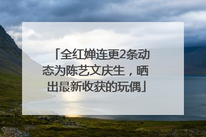 全红婵连更2条动态为陈艺文庆生，晒出最新收获的玩偶