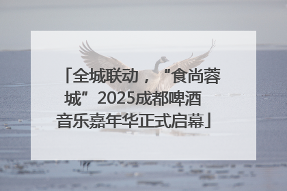 全城联动，“食尚蓉城”2025成都啤酒音乐嘉年华正式启幕