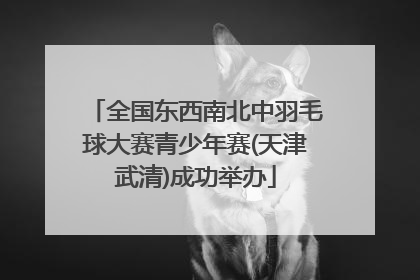 全国东西南北中羽毛球大赛青少年赛(天津武清)成功举办